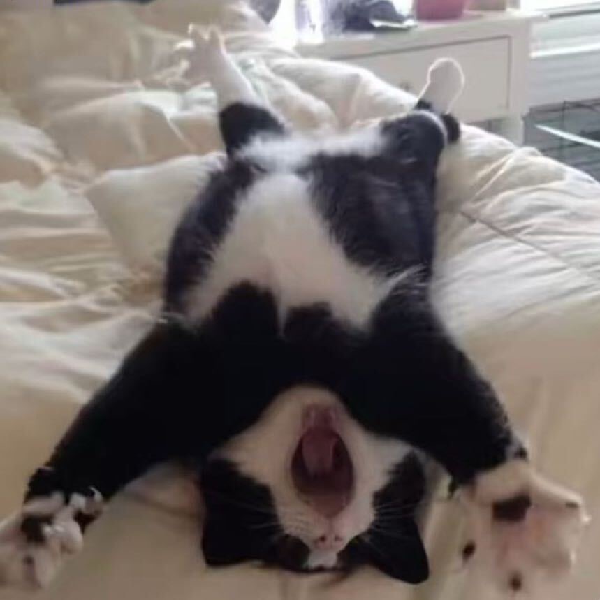 休比小王的web学习记录